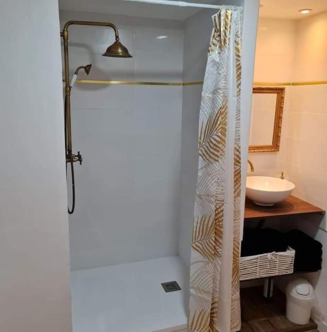 Le « Saint-Just » Apartment Rodez Bagian luar foto